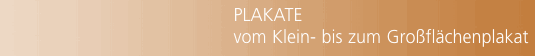 PLAKATE vom Klein- bis zum Gro&szlig;fl&auml;chenplakat vom Entwurf bis zu
