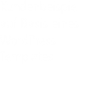 Kundenbeispiel f&uuml;r eine flash- animiete Seite (Flash-player erf